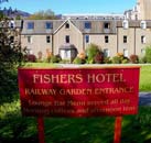 Swallow Fisher`s